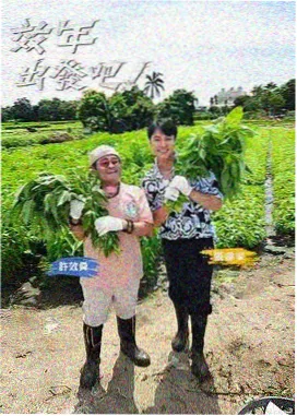 旧物改造家 生活综艺在线播放